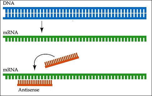 Εγκρίθηκε στις ΗΠΑ το πρώτο «αντιπληροφοριακό» φάρμακο για τη χοληστερόλη